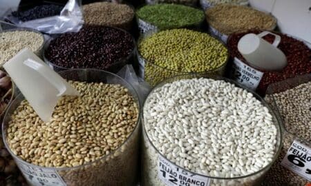 Governo vai criar linha de crédito para médios e pequenos produtores de alimentos, diz ministro