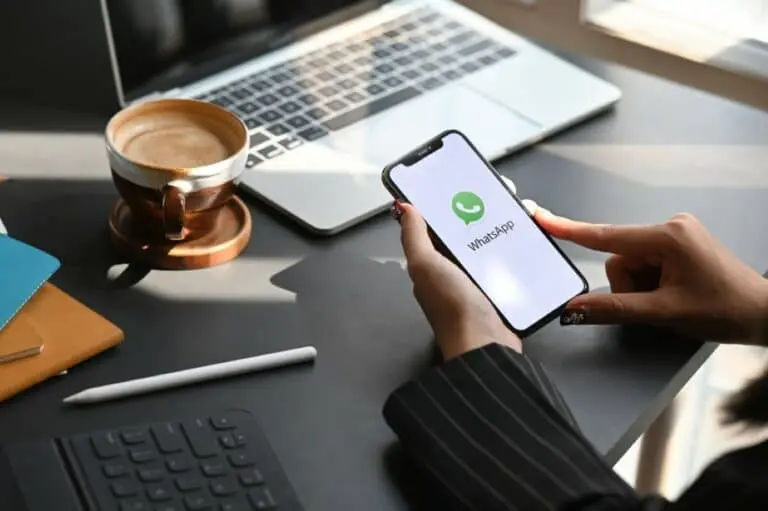 App WhatsApp Celular