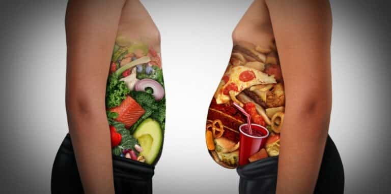 Comida obesidade alimentos