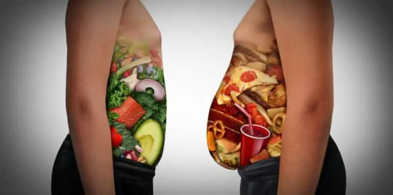 Comida obesidade alimentos