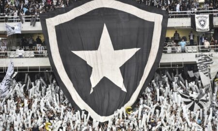 Botafogo futebol