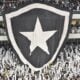Botafogo futebol