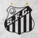 Santos espera recuperar lesionados e desgastados durante pausa do Brasileirão