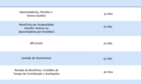 Análise no INSS em 2023: Quanto tempo demora?