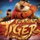 Jogo Tigre