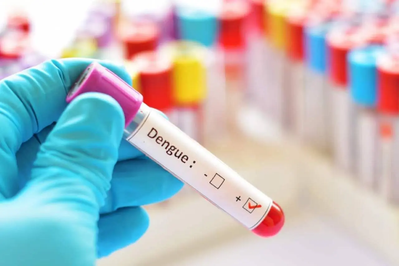 Dengue