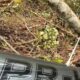 Equipes de resgate retiram por terra os corpos das 4 vítimas de acidente de helicóptero em Paraibuna