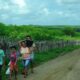 zona rural produção agro