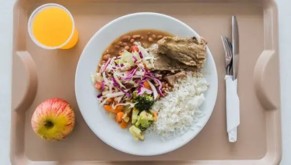 Comida Alimentação