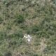 Tragédia aérea em Barreiras: queda de avião deixa três mortos na Bahia