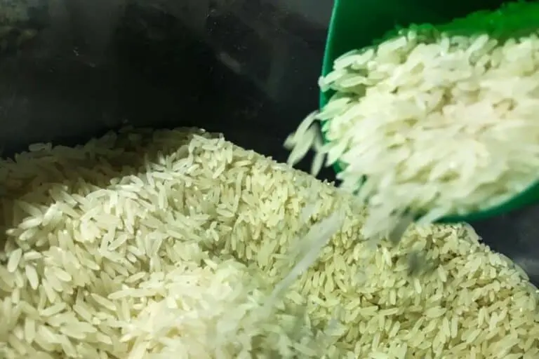 Arroz