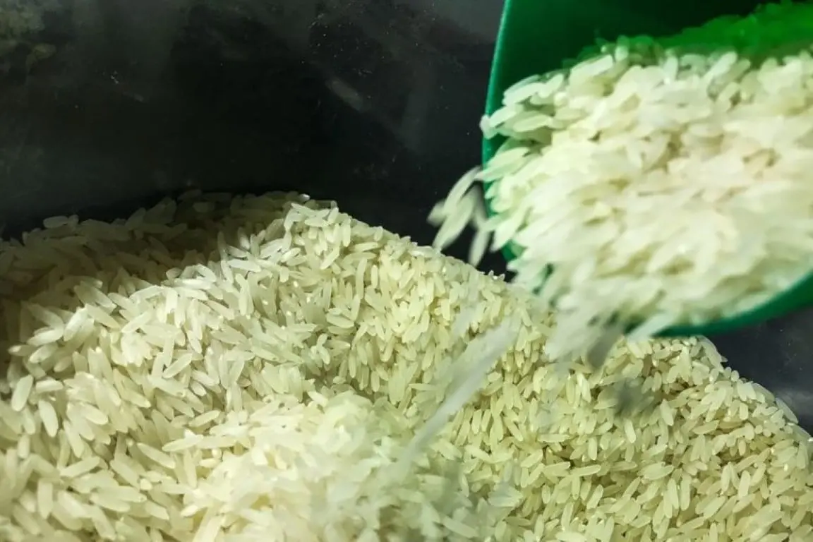 Arroz
