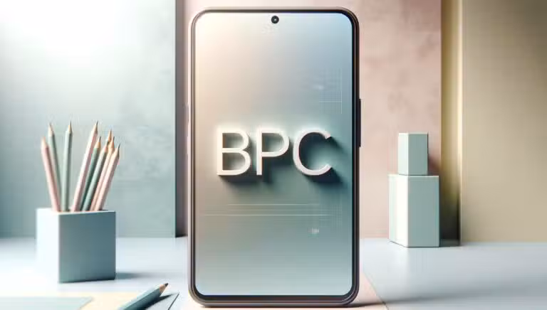 bpc inss loas