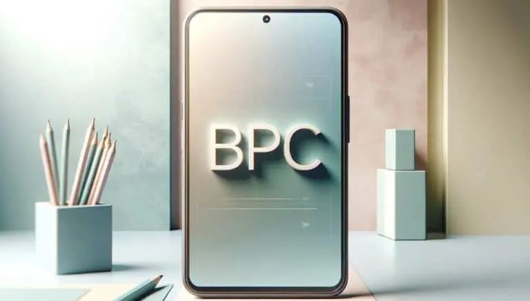 bpc inss loas