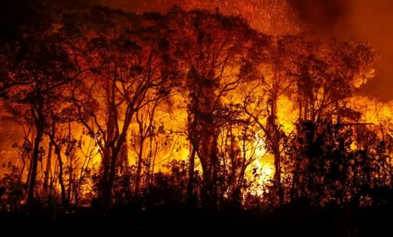 Incêndio Pantanal