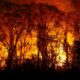 Incêndio Pantanal
