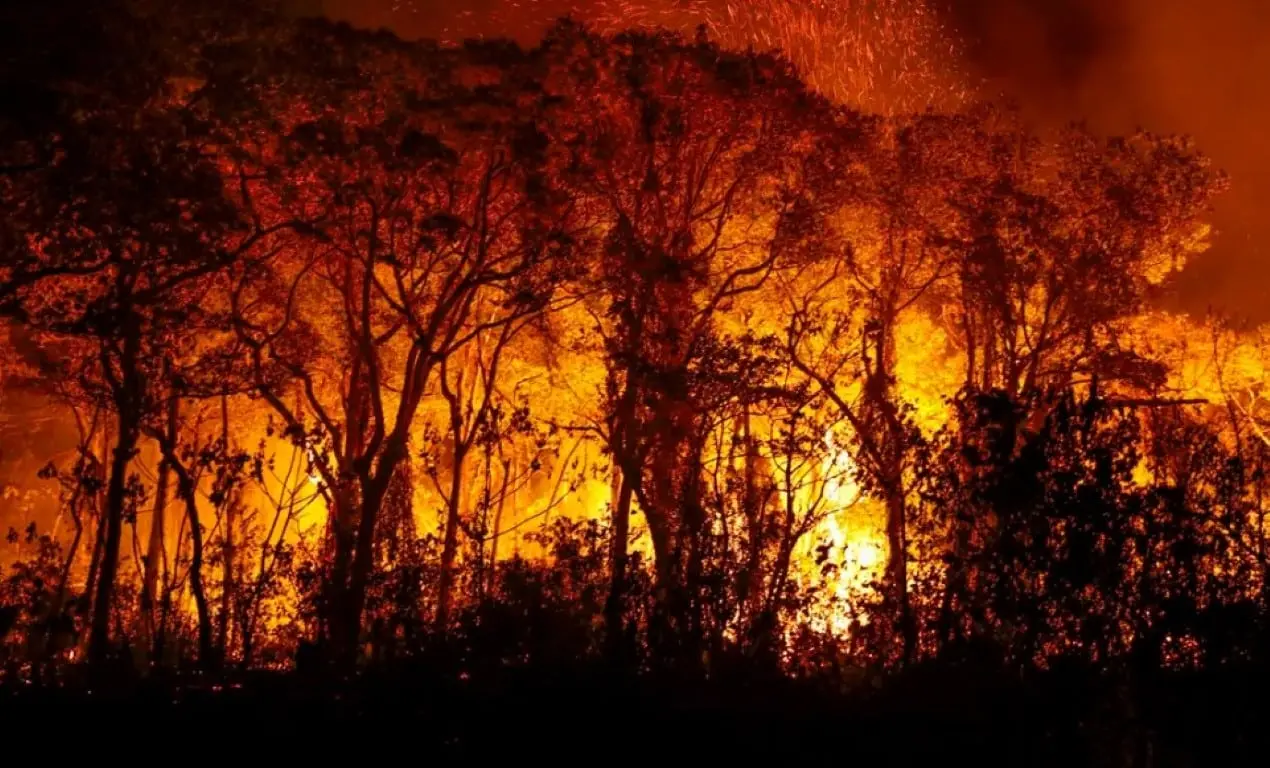 Incêndio Pantanal