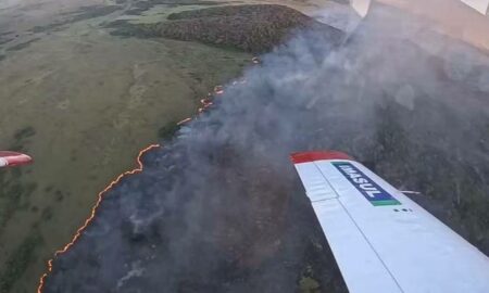 Incêndios no Pantanal disparam mais de 1000% e rio tem seca recorde