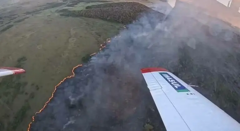 Incêndios no Pantanal disparam mais de 1000% e rio tem seca recorde
