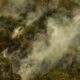 queimada pantanal incendio