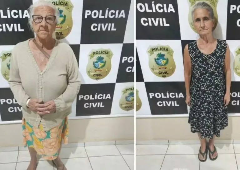 vovó do crime inss