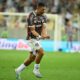 ANDRE FLUMINENSE