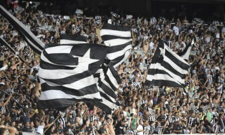 Botafogo futebol torcida