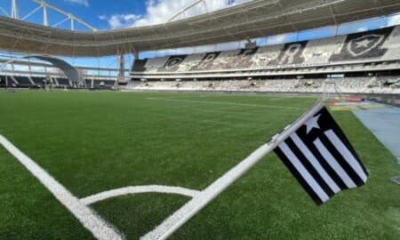 Botafogo estádio nilton santos