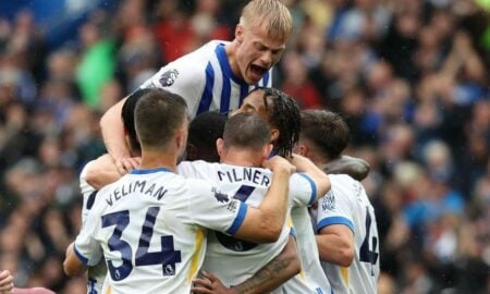 Brighton fc
