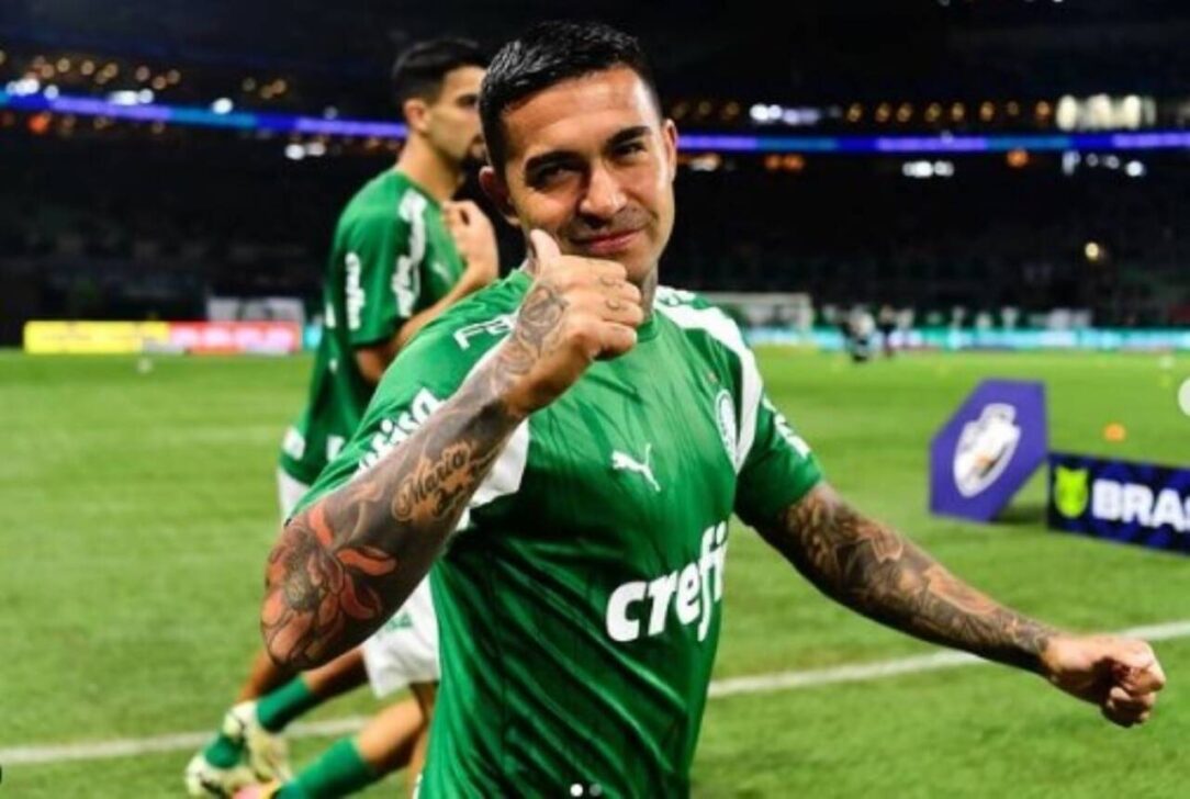Dudu Palmeiras