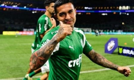 Dudu Palmeiras