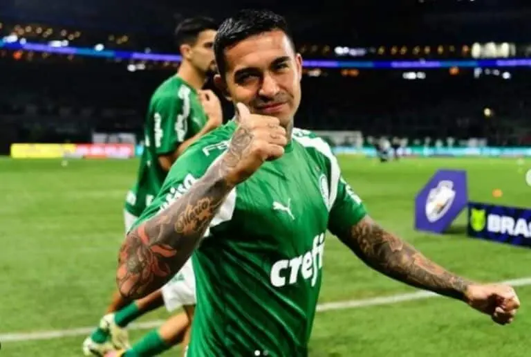Dudu Palmeiras