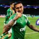 Dudu Palmeiras