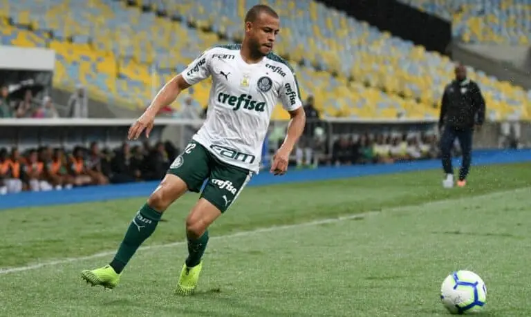 MAIKE PALMEIRAS