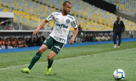 MAYKE PALMEIRAS