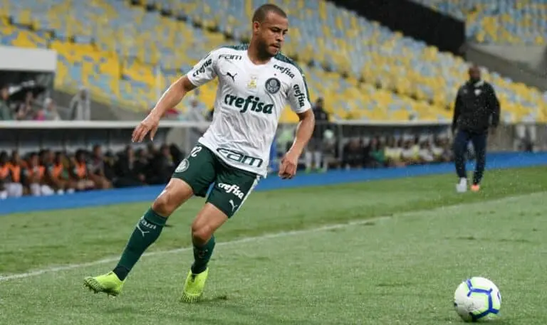 MAYKE PALMEIRAS