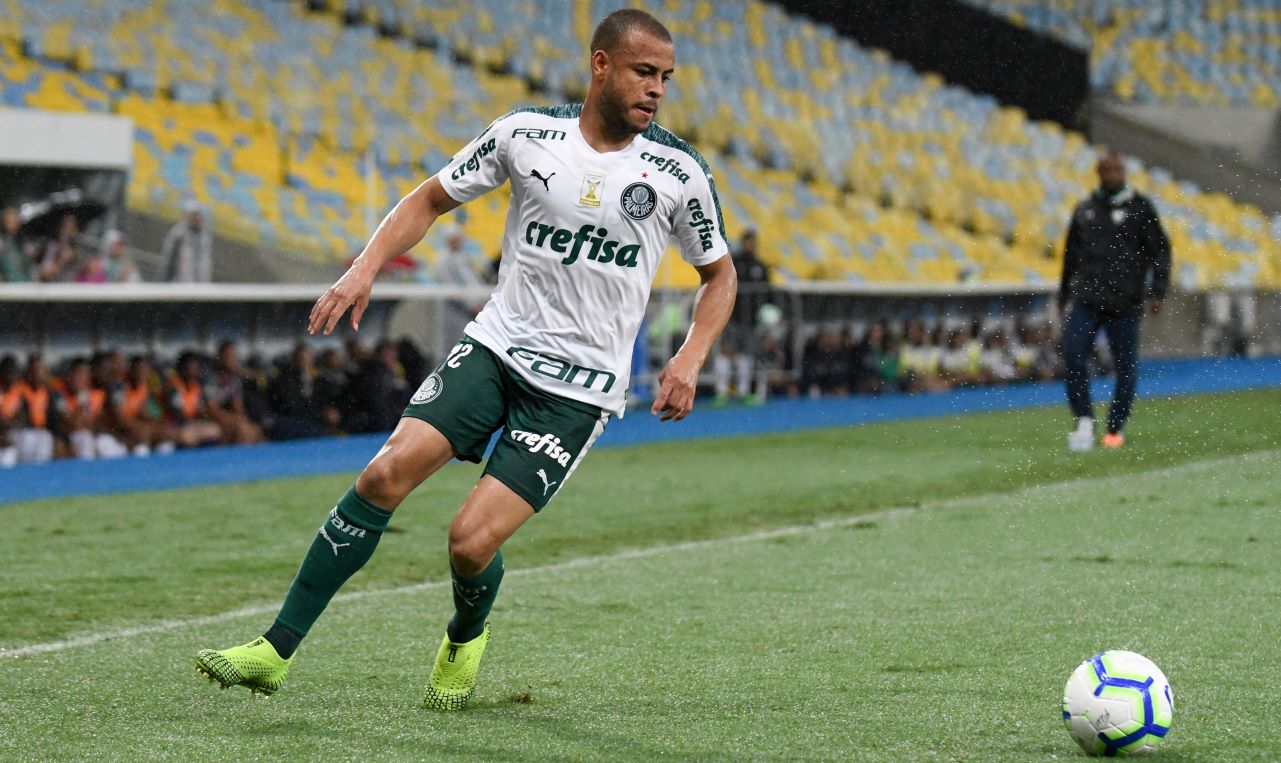 MAYKE PALMEIRAS