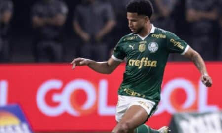 MURILO PALMEIRAS