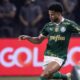 MURILO PALMEIRAS