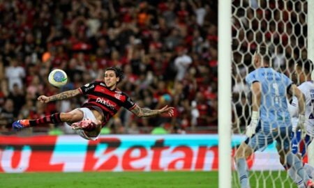 PEDRO FLAMENGO