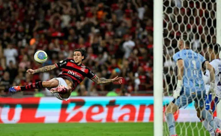 PEDRO FLAMENGO
