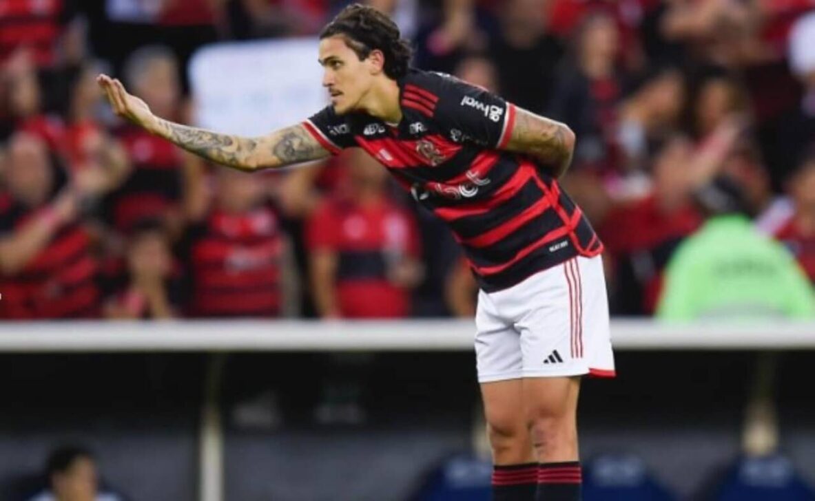 Pedro Flamengo