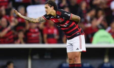 Pedro Flamengo