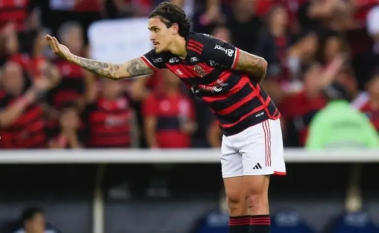 Pedro Flamengo