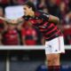 Pedro Flamengo