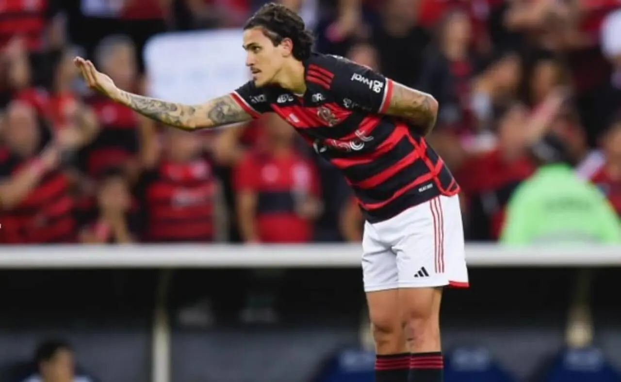 Pedro Flamengo