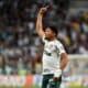 Rony Palmeiras