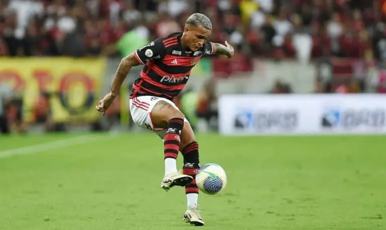 WESLEY FLAMENGO