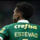 Estevao Palmeiras / Instagram