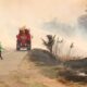 incêndios